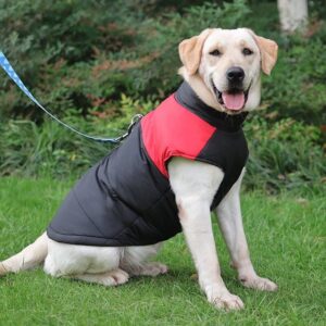 Luxetails™ Waterproof Winter Dog Jacket – Warm & Weatherproof