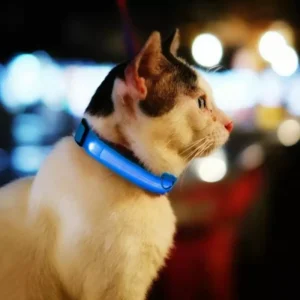 Luxetails™ Premium LED Dog Safety Collar