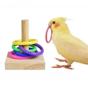 Luxetails™ Colorful Parrot Puzzle Toy Set